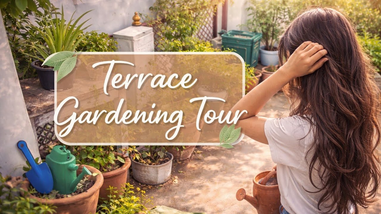 Terrace gardening series part 2 2026 💗 ll terrace gardening tour 😁 