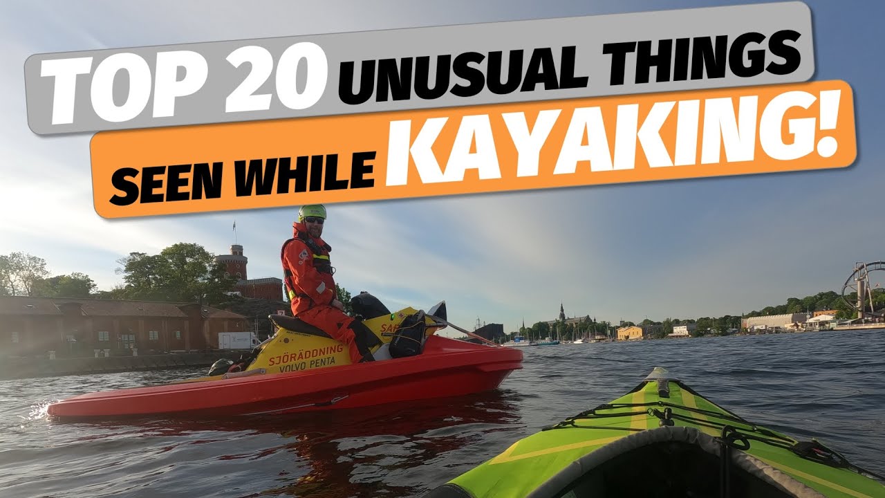 My TOP 20 unusual encounters in a kayak! Compilation video of rare things seen while kayaking