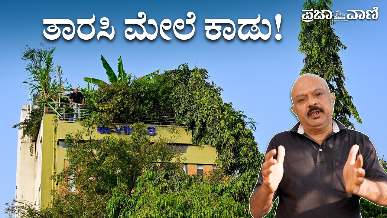 600 ಚದರ ಅಡಿ ತಾರಸಿಯಲ್ಲಿ 100ಕ್ಕೂ ಹೆಚ್ಚು ಗಿಡಗಳು: ವೆಂಕಟ್‌ ಅವರ ಹಸಿರು ಸಾಹಸ I A Forest Above the Concrete !