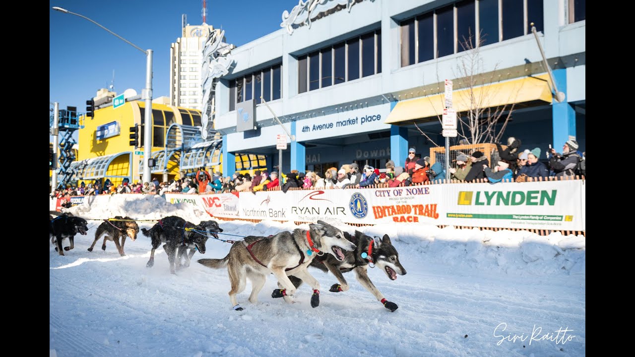 50 Day Countdown to Iditarod 54!