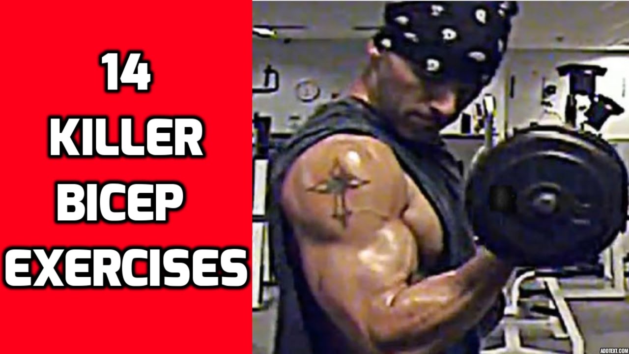 14 Killer Bicep Exercises to mix up your Arm Workouts