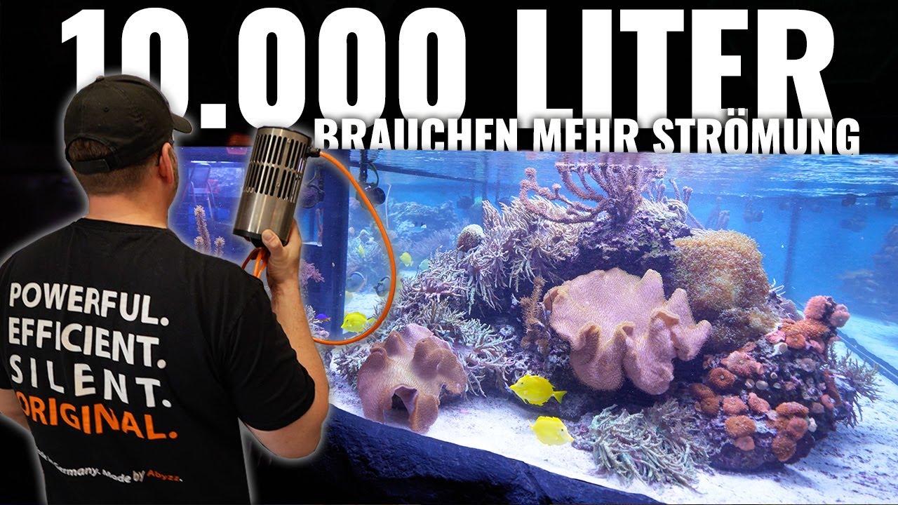 Dieses 10.000 Liter Meerwasseraquarium bekommt mehr Strömung!