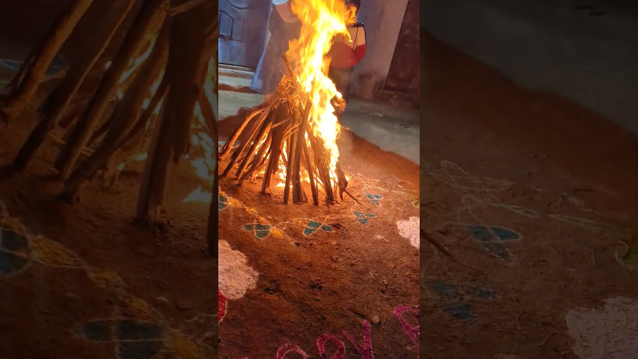 Bhogi celebrations at our farm #different #nature #bhogi #celebration 🔥🔥