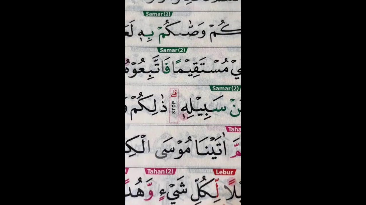 FOKUS BELAJAR AL-QURAN TAJWID