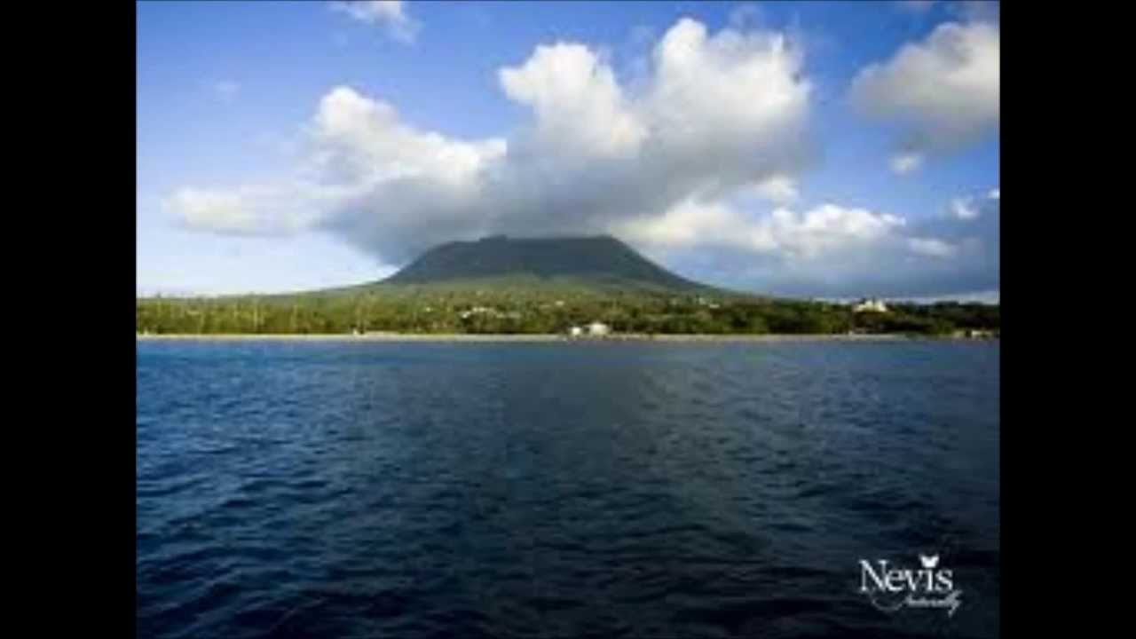 Nevis Nice King Meeko