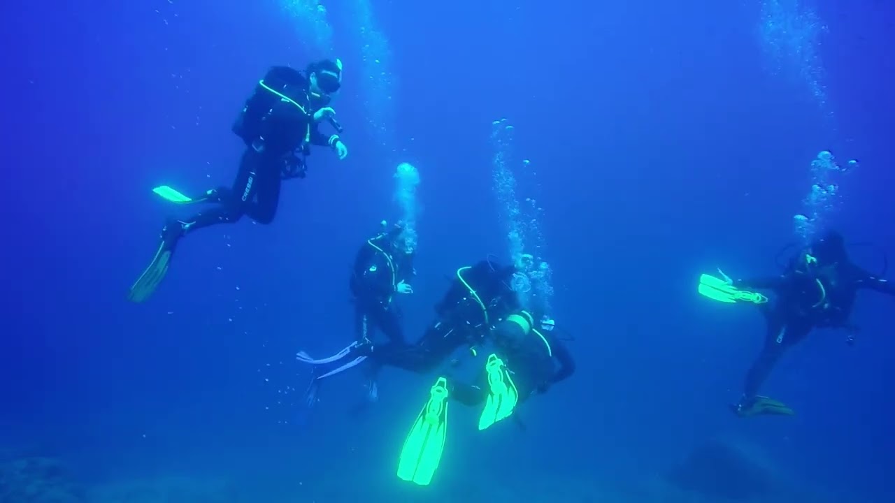 Buceo en Benidorm (15-10-2023)