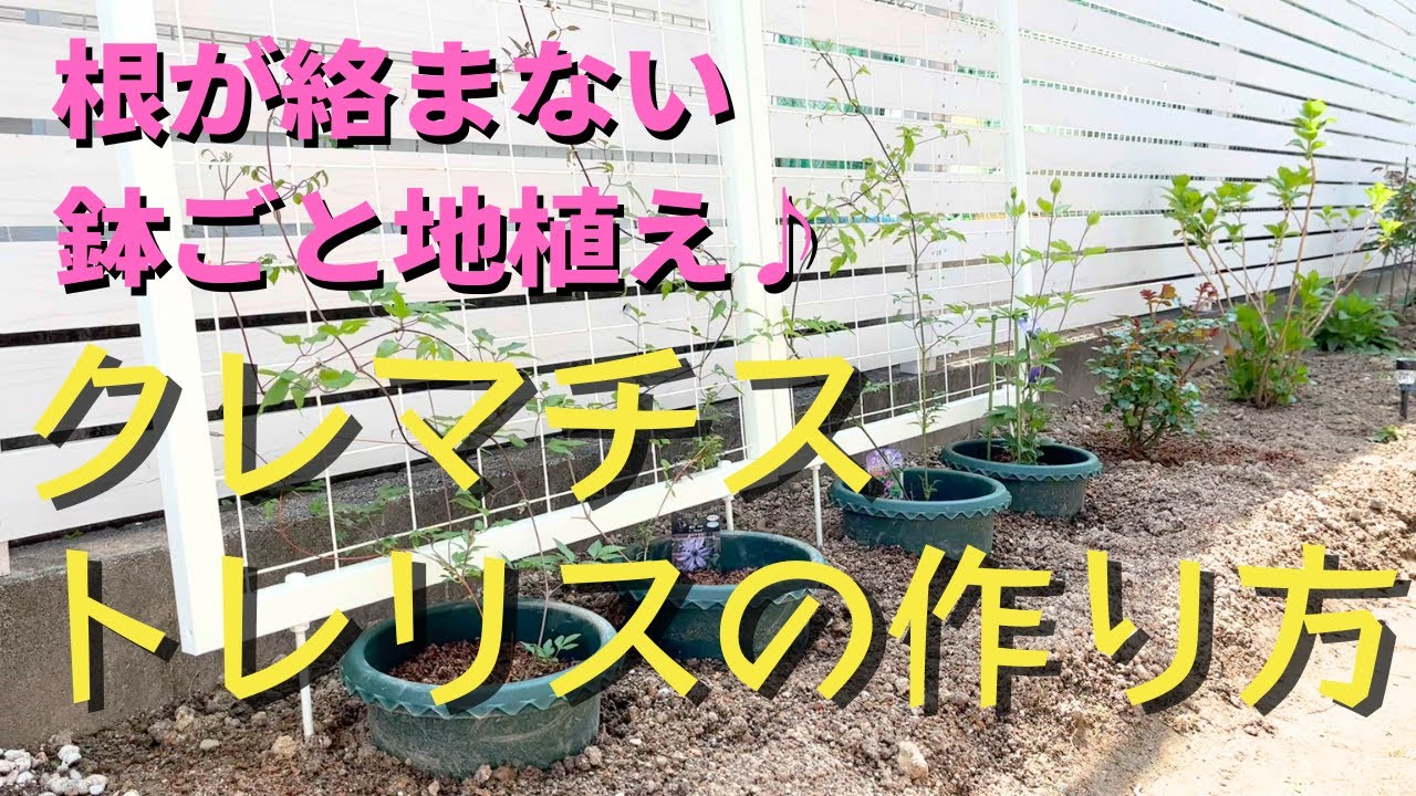 【トレリス庭diy】【クレマチス誘引フェンス】【手作り】【半地植え】【つるバラにもおすすめ】ガーデニングdiy