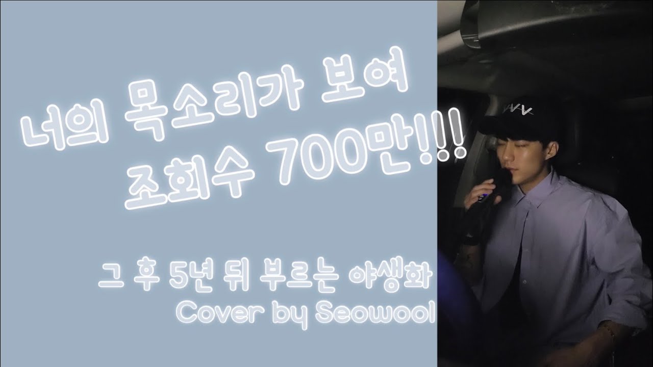 야생화 - 박효신 ( Cover by Seowool )