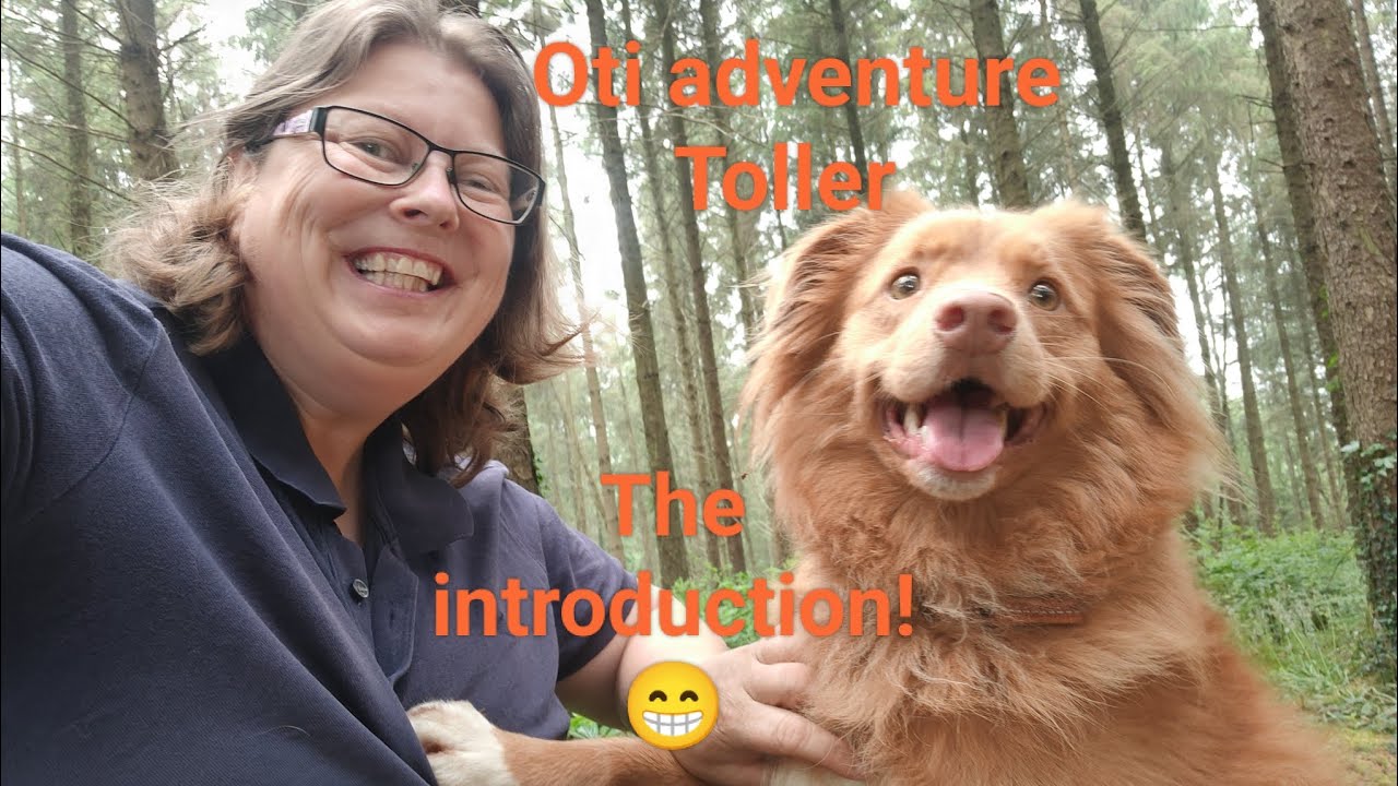 Intro video for Oti adventure Toller and her mum - only a year or so late! 🤣 Happy adventuring!