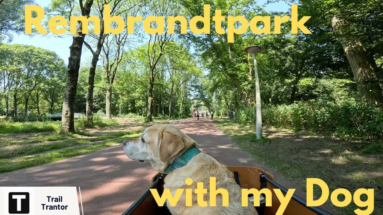 4K Amsterdam Rembrandtpark | Cargobike + Dog | POV GoPro12