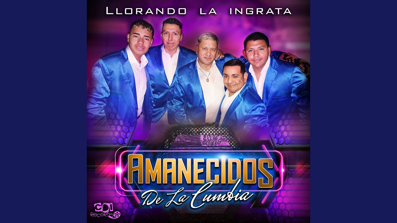 Si tu te fueras de mi - Antes de que te vayas - Tu volveras - Necesito una compañera