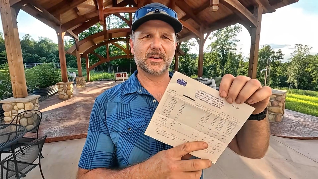 Cattle Farmer shares SHOCKING TRUTH ABOUT BEEF PRICES! Here's how it works!