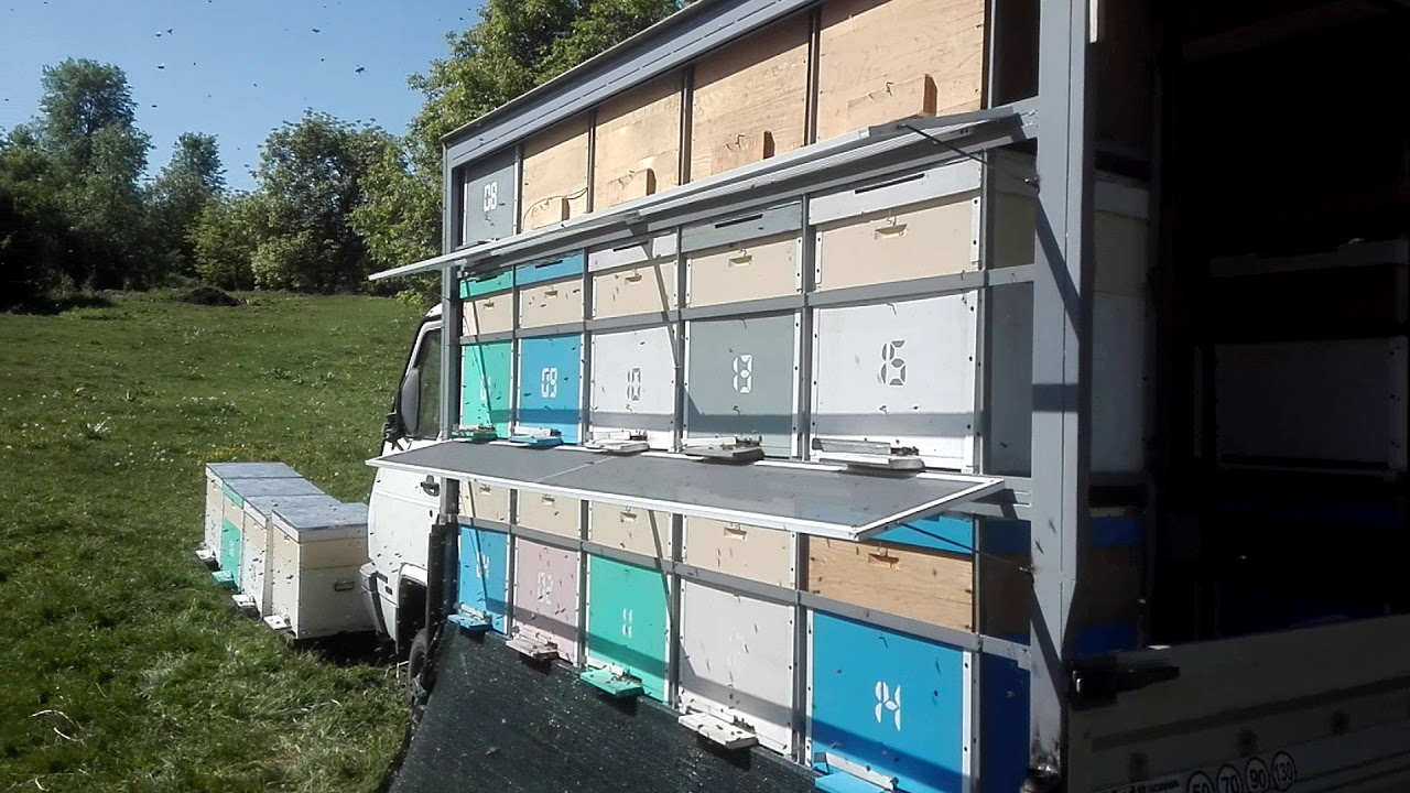 Mini autopavilion 2018 - Salc&acirc;m