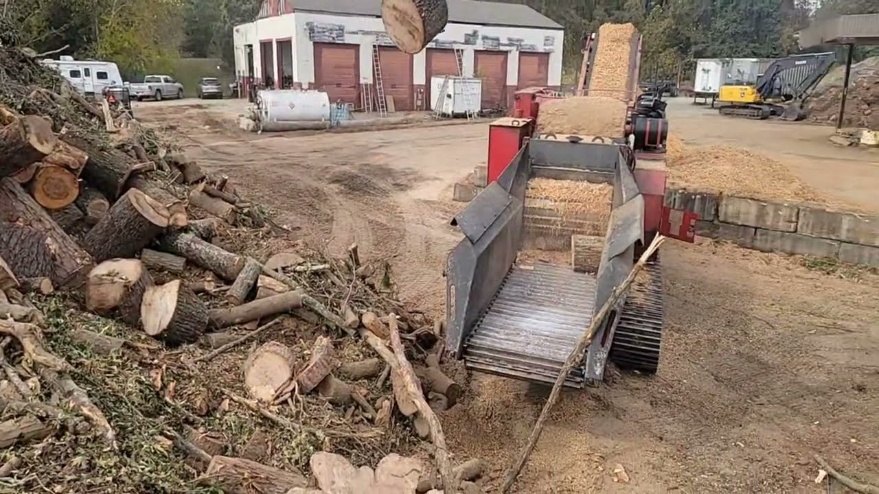 GRIND TIME! BANDIT BEAST MAKING WOOD CHIPS!!!
