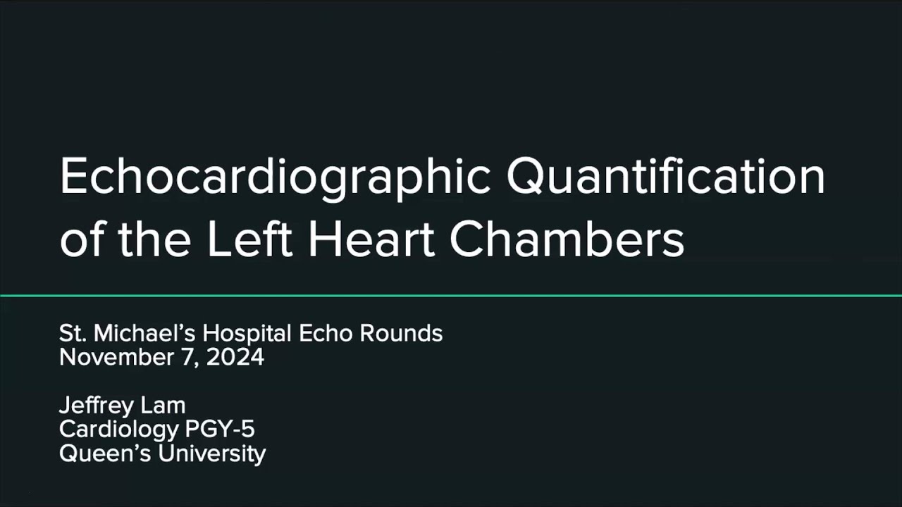 Echocardiographic Quantification of the Left Heart Chambers