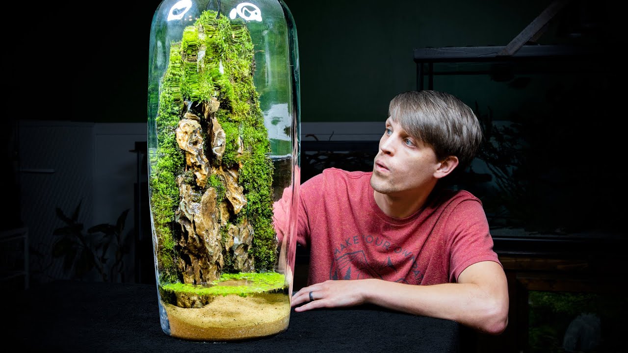 Giant Moss Dripwall Terrarium with a Pond
