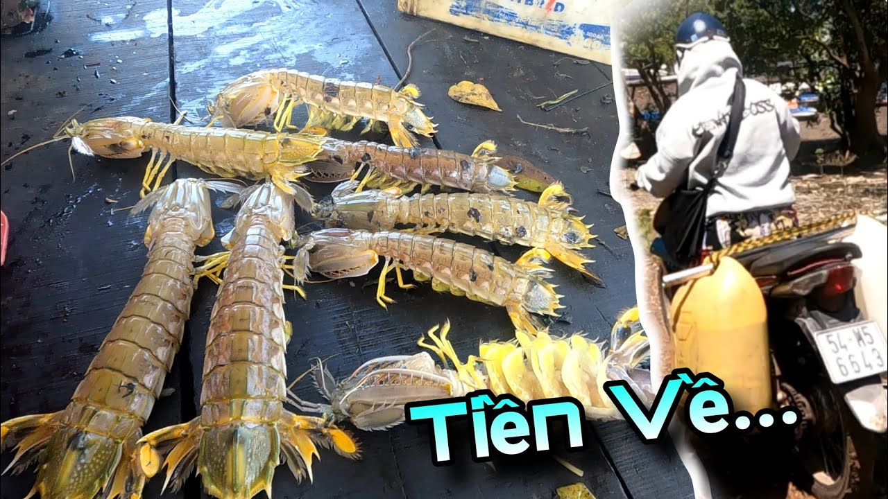 Kiếm 3 Triệu trong 1 cử đáy trúng Tôm Tít Bạch Tuộc đê mê | GĐCG #725