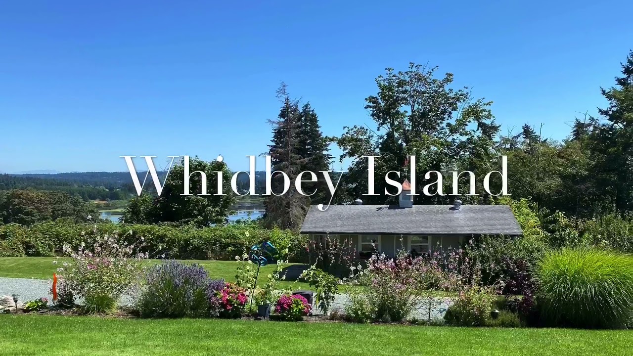 Teresa Saia Studio