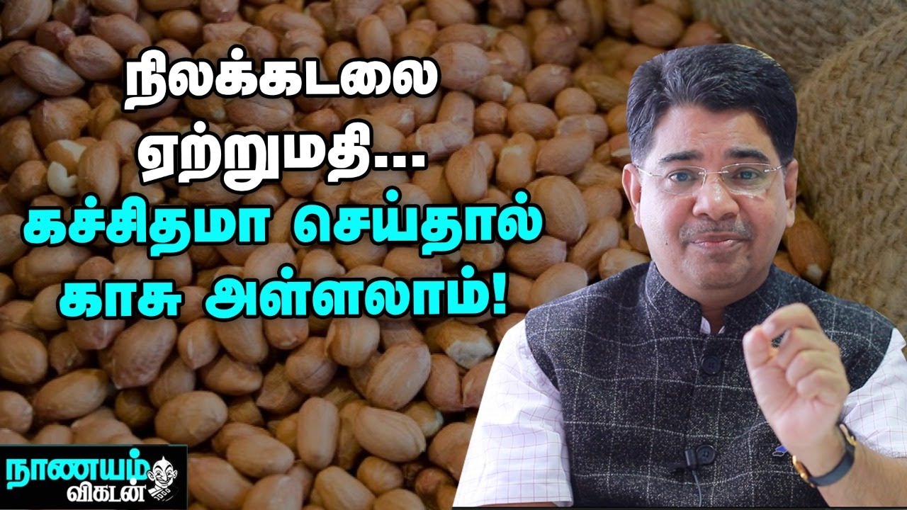 மலேசியா, இந்தோனேஷியா... கலக்கும் நிலக்கடலை ஏற்றுமதி!  Agri Export | Nanayam Vikatan