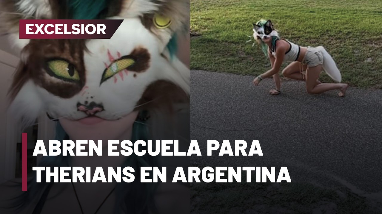 Argentina sorprende con escuela especializada para comunidad therian