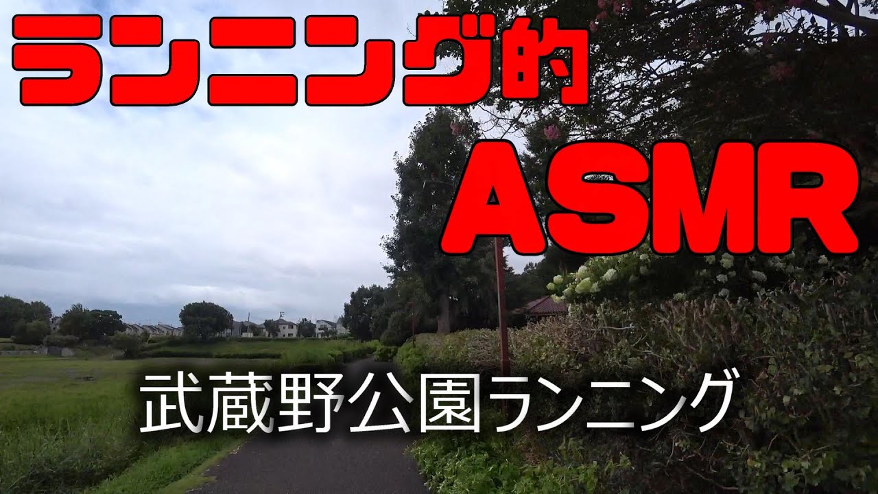 【武蔵野公園ランニング】ランニング的ASMR♪