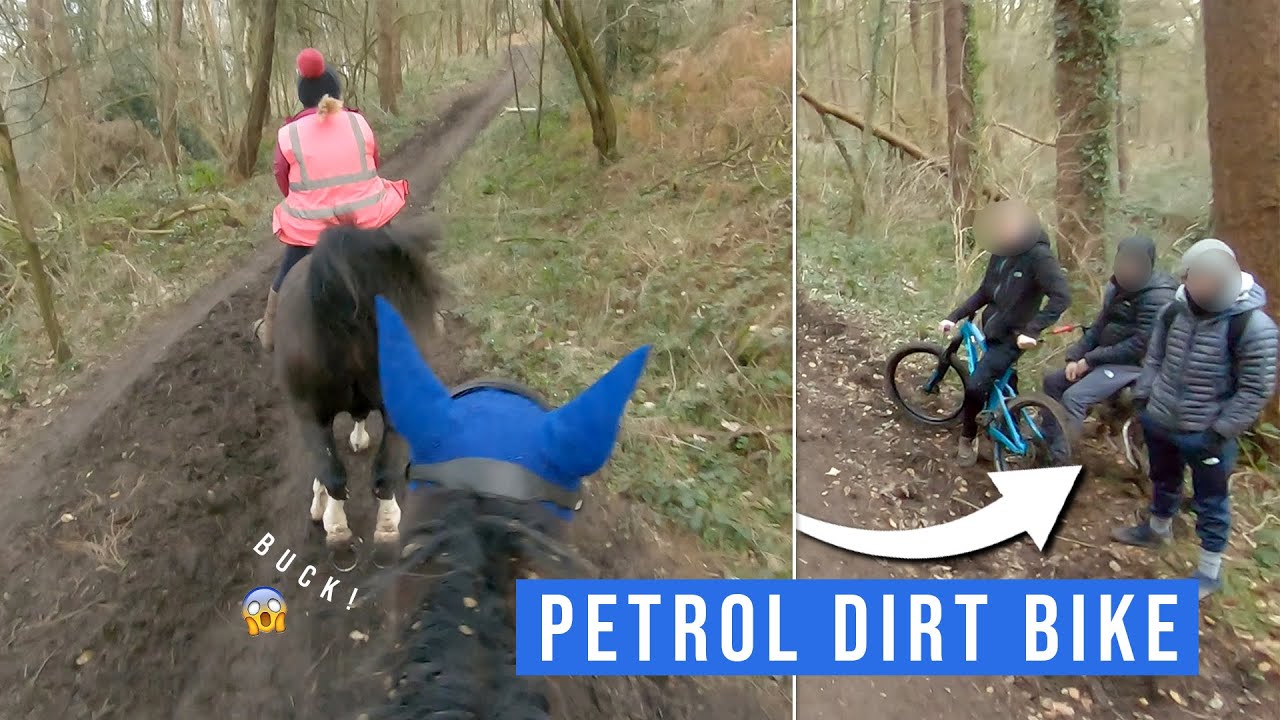 Woodland Hack Got Interesting! | GO PRO 7 POV | EquineAsh