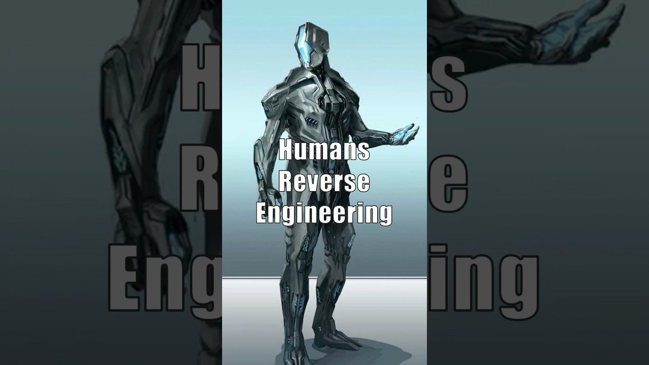 What did Humans reverse engineer from Forerunners? #halo #halolore