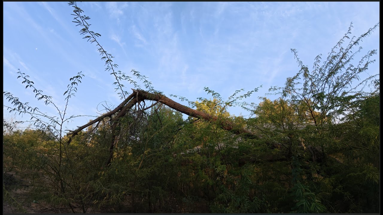 Mother Nature’s Geometry 4K