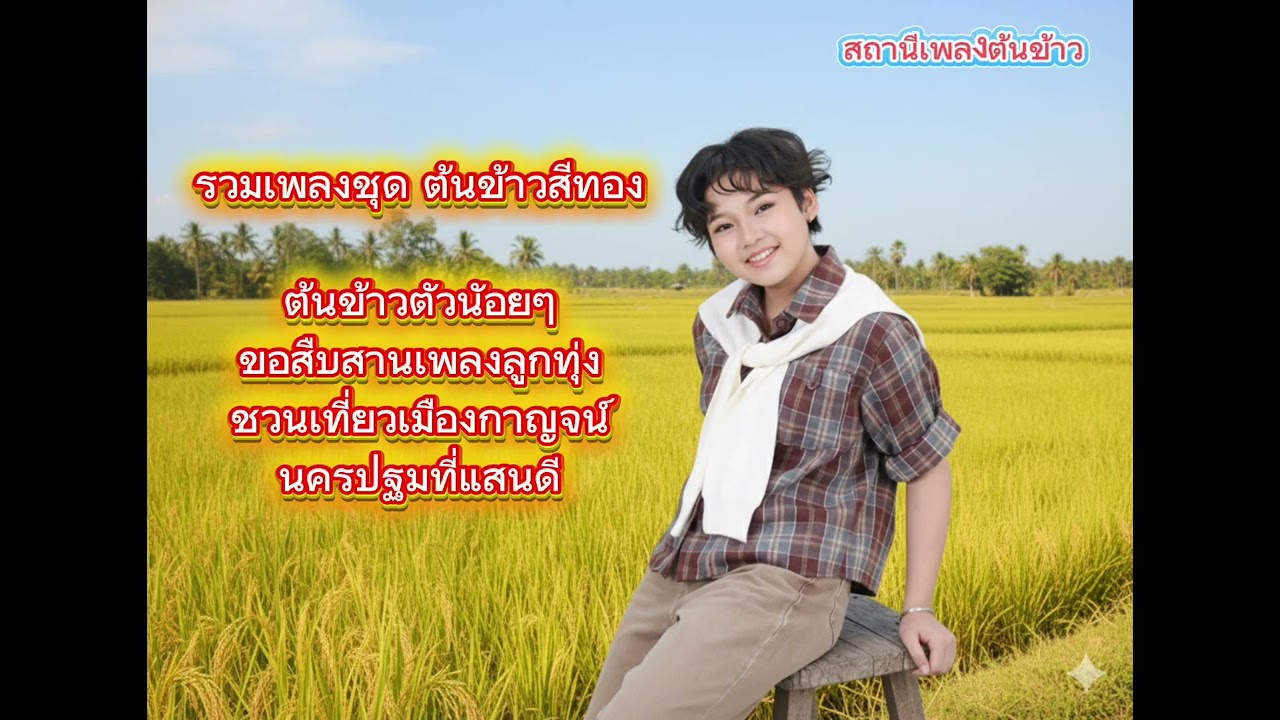 รวมเพลงชุดต้นข้าวสีทอง ร้องไกด์โดยAI