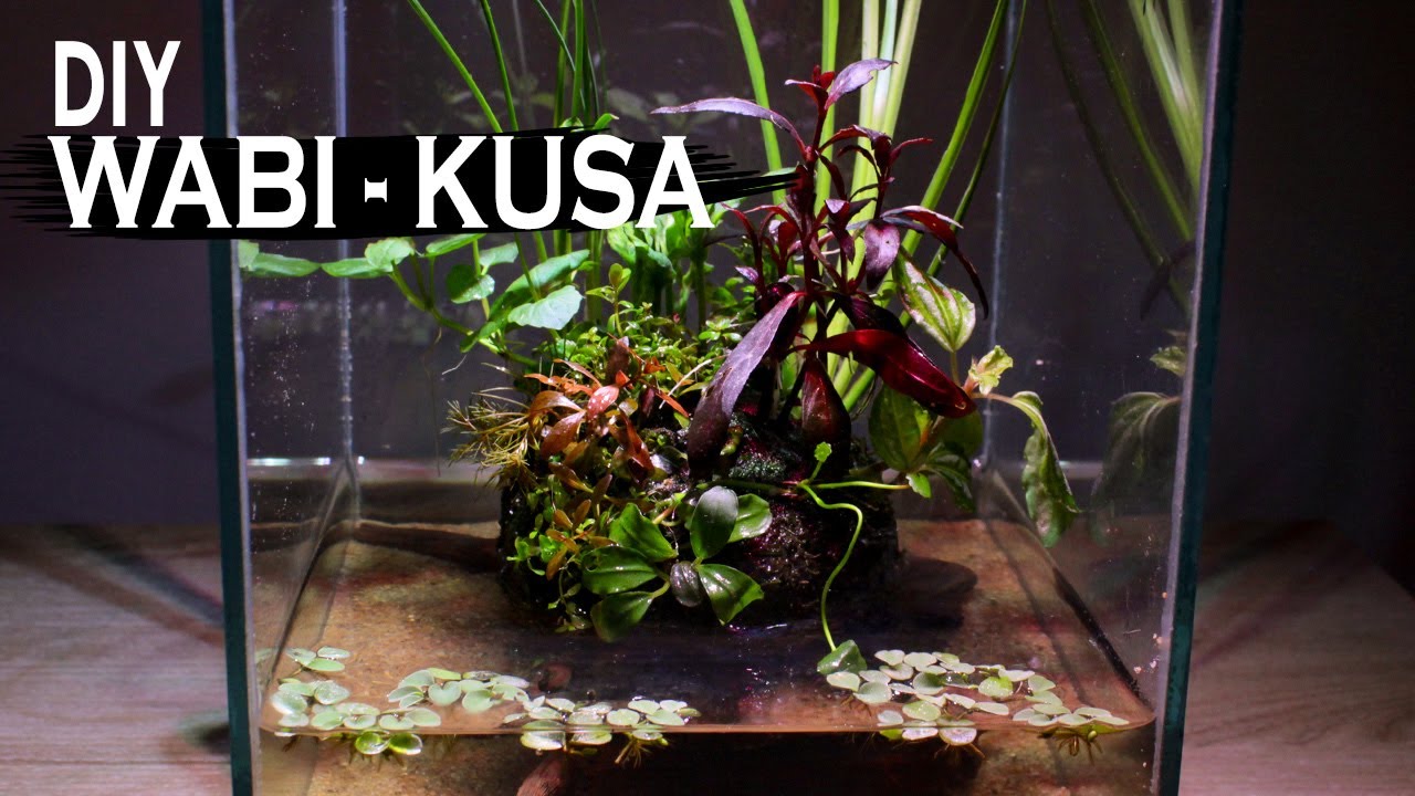 How To Make Wabi Kusa - Breath of Nature