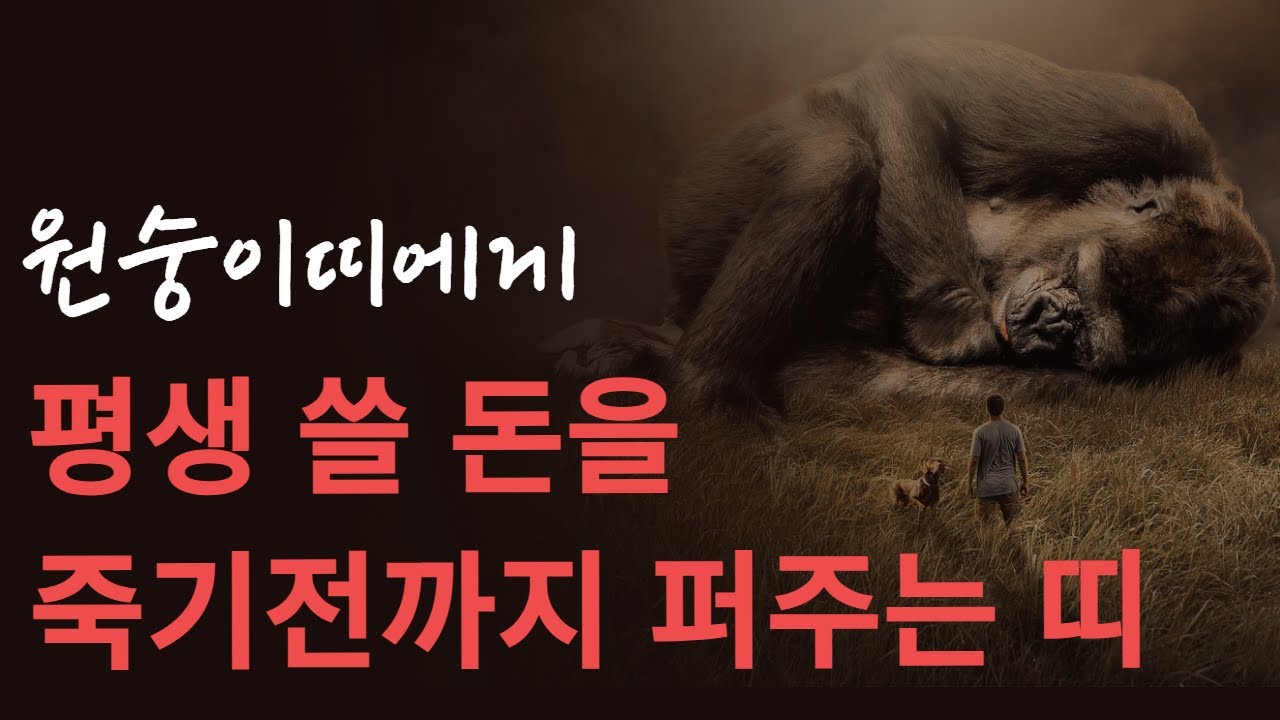 원숭이띠! 부자가 되고싶으면 OO띠랑 어울리면 됩니다! 원숭이띠에게 최고 좋은 귀인띠 말도 못할 큰 행운이 들어옵니다! 대박터지는 띠궁합 태극귀인 밀어주는 원숭이띠