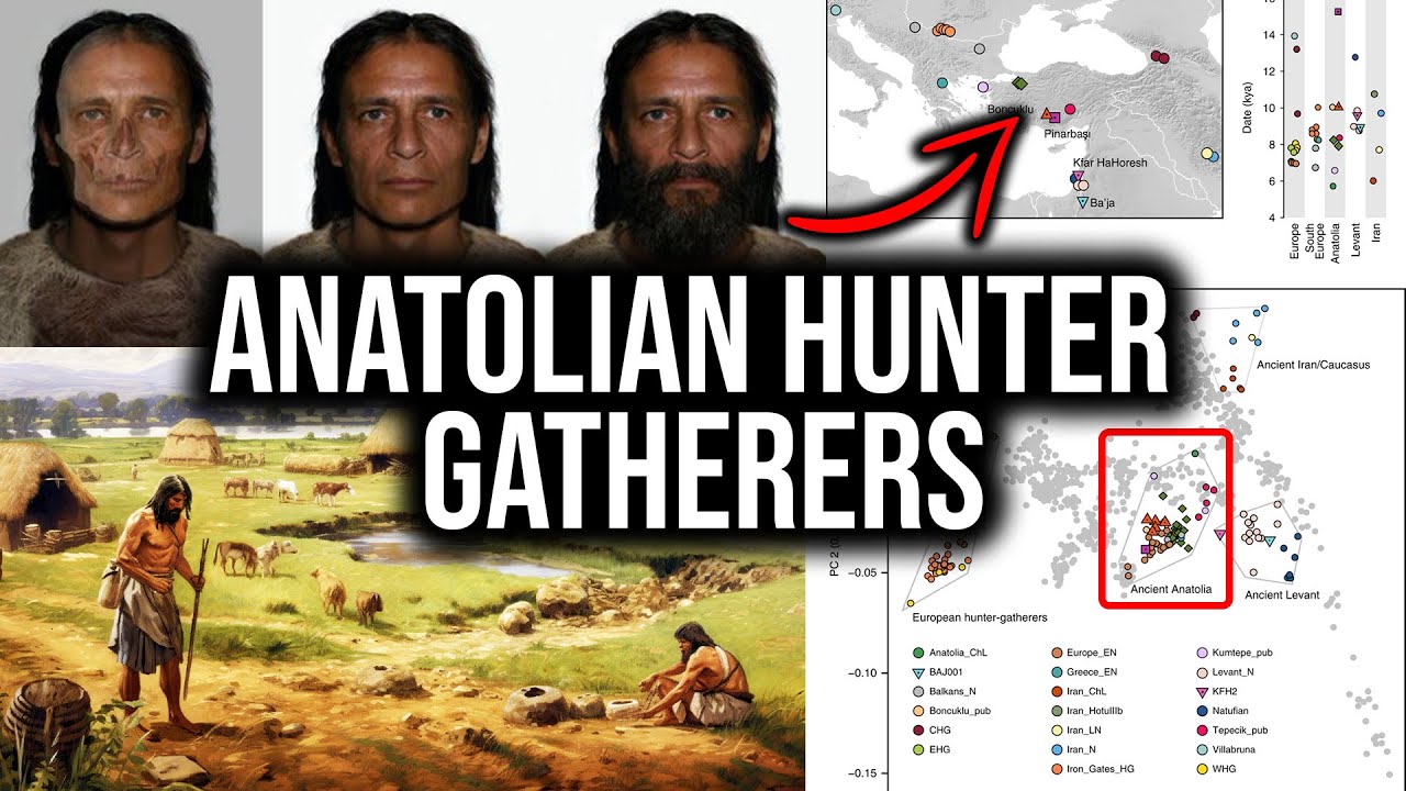 One of the most influential & genetically consistent people of all time (Anatolian Hunter Gatherers)