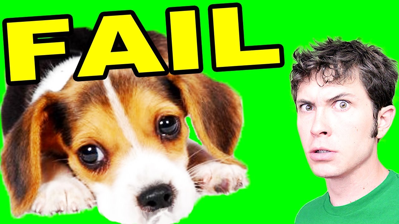 PUPPY FAIL