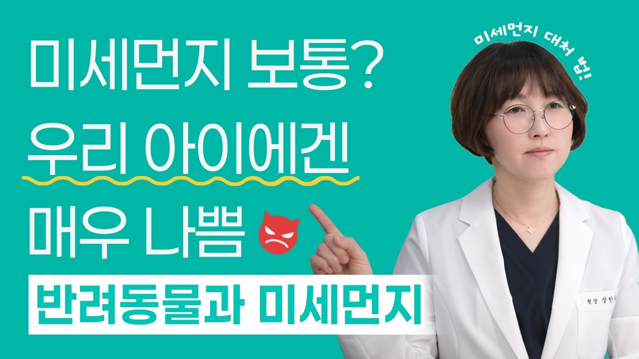 강아지 미세먼지는 사람보다 더 치명적입니다! 산책 전 무조건 시청하세요 | 24시 솔동물의료센터