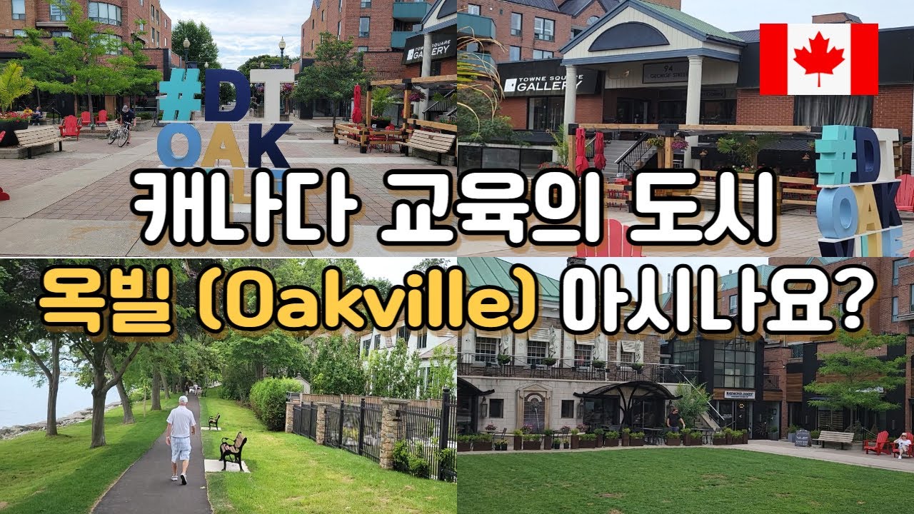 🇨🇦 토론토 브이로그, 캐나다 교육 도시 옥빌 구경하세요 ~~~ OAKVILLE  캐나다 토론토 브이로그 (vlog)