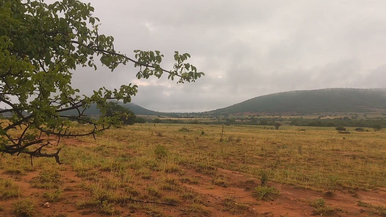Acordando no sertão da Bahia. @LipeNordestino @Andersontiago_1008 