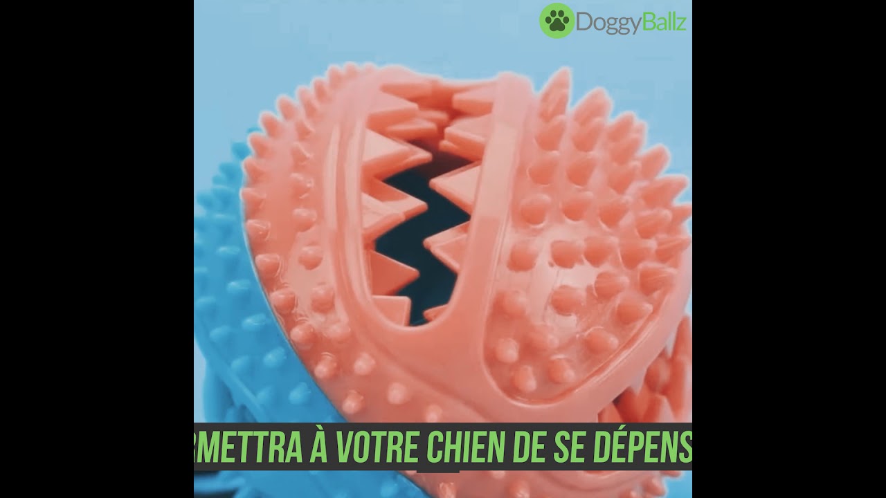 Exemple Vid&eacute;o - Ozruk 5euros.com