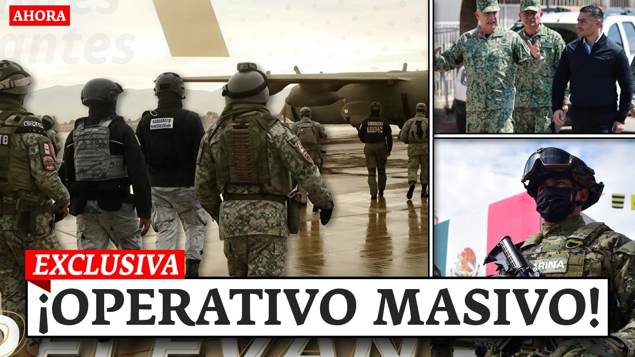 OPERATIVO MASIVO: GOLPE HISTÓRICO DE HARFUCH: 890 CAPTURAS Y 10 TONELADAS DECOMISADAS