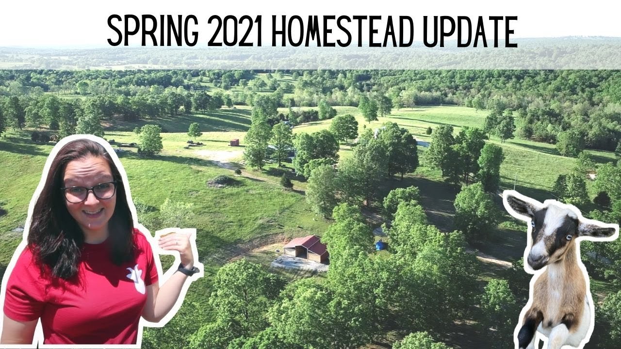 2021 Homestead Tour from 0 to 40+ animals | Three Little Goats Homestead Vlog