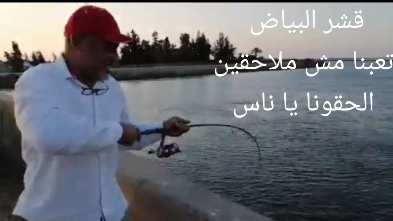 مجزره صيد قشر بياض مش ملاحقين والخير على قدوم الواردين  ترعه السلام تتحدث