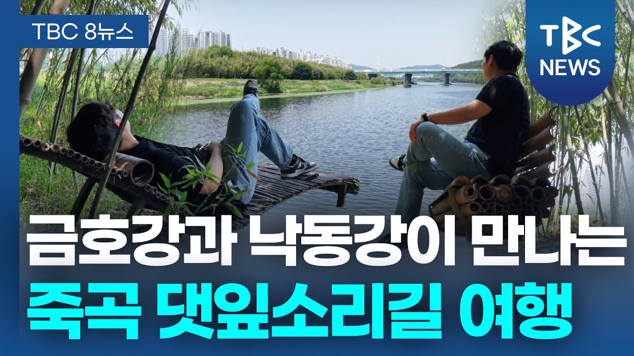 금호강과 낙동강이 만나는 죽곡 댓잎소리길 여행ㅣTBC영상뉴스