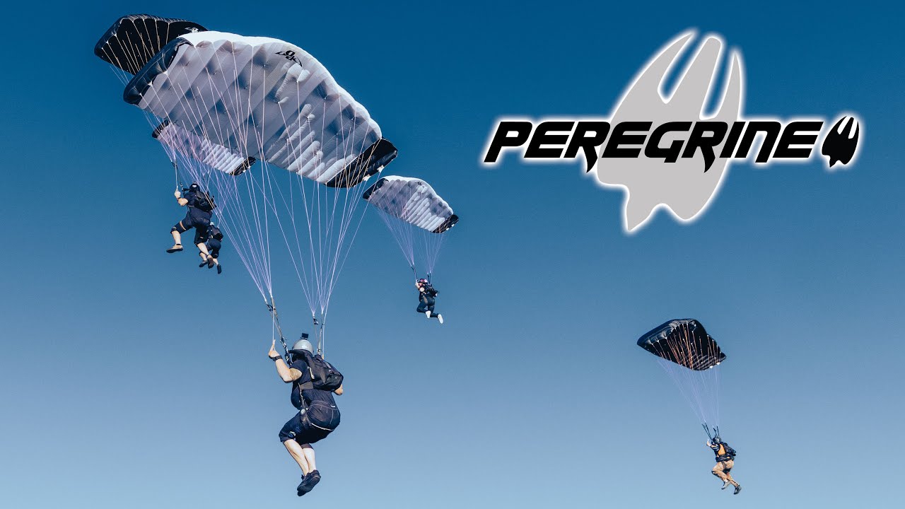 PD Peregrine High Performance Flock