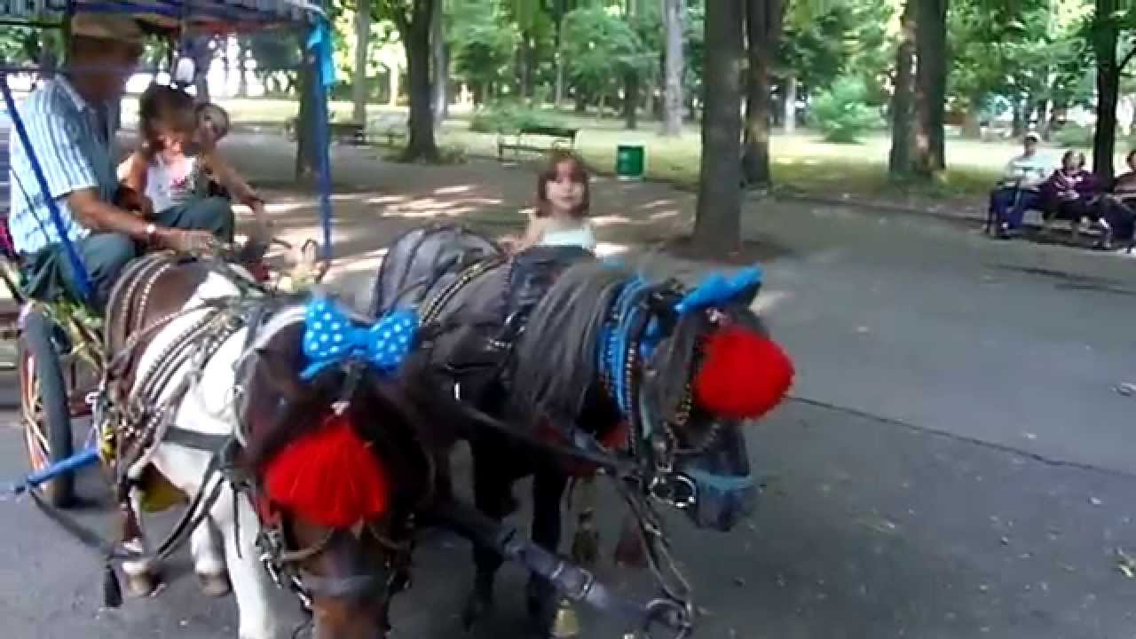 Разходка с понита