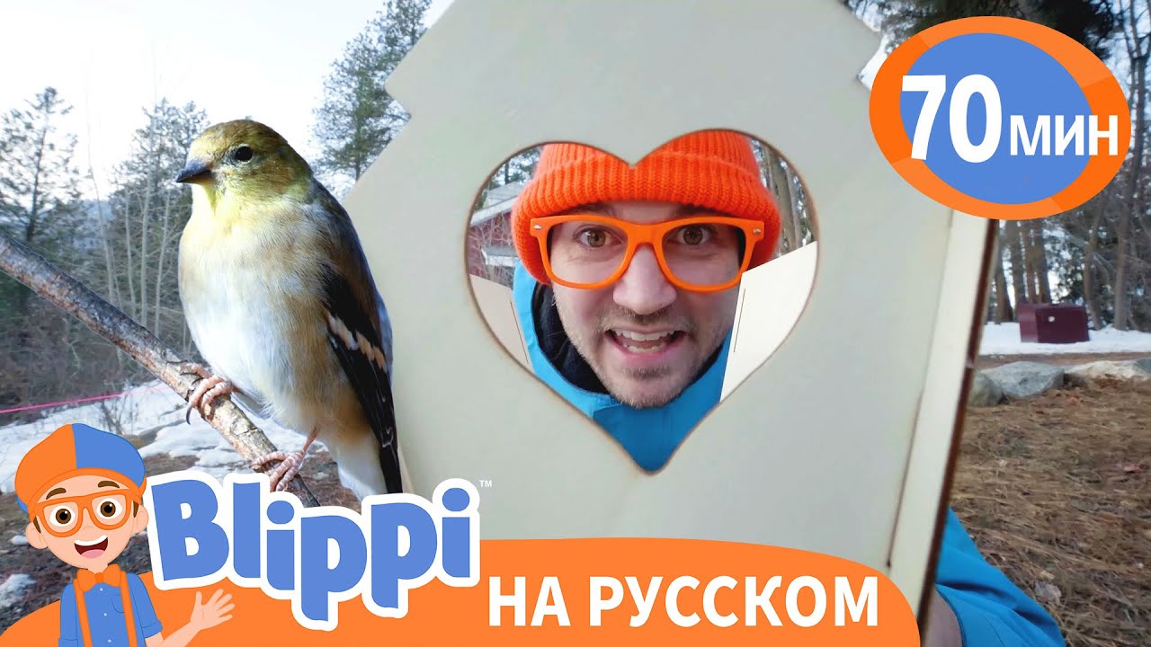 Блиппи изучает птиц🐦 | Блиппи на русском