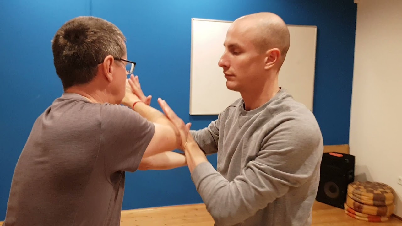 Yang Family Tai Chi Pushing Hands