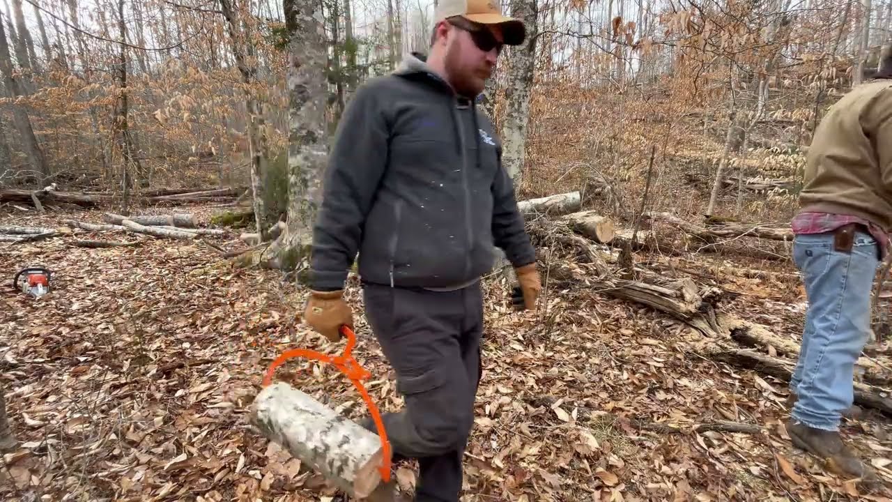Made Firewood Rounds out of Birch with Difficult Access