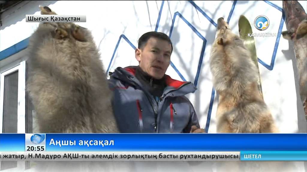 1500-ден астам қасқыр атқан ақсақал