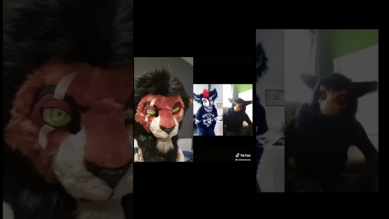 BEST Furry TikToks compilation 0271 #shorts #furrytiktok #furry #furrycompilation