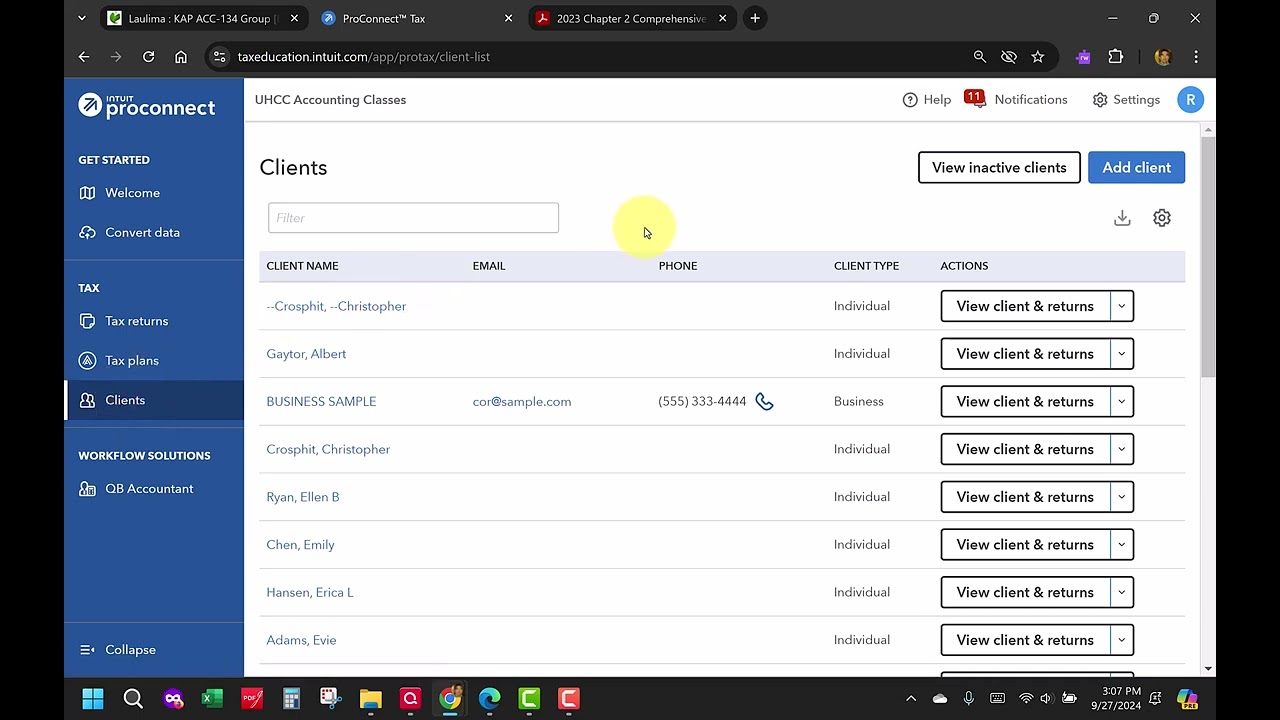 Demo 2023 Hoser ProConnect Tax  (not real taxpayers - YouTube do not block)