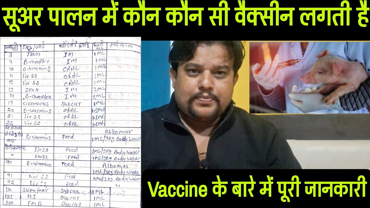 सूअर फार्म में कौन कौन सी VACCINE लगाए | VACCINATION CHART| वैक्सीनेशन के बारे में पूरी जानकारी 